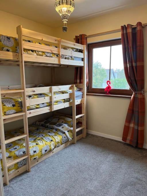 Lovely 2 Bedroom Family Apartment In Newcastle Newcastle  Dış mekan fotoğraf